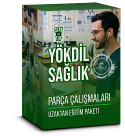 YÖKDİL Sağlık Parça Çalışmaları