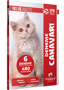 YKS-DİL INTROPACK - DENEME CANAVARI (6 DENEME)